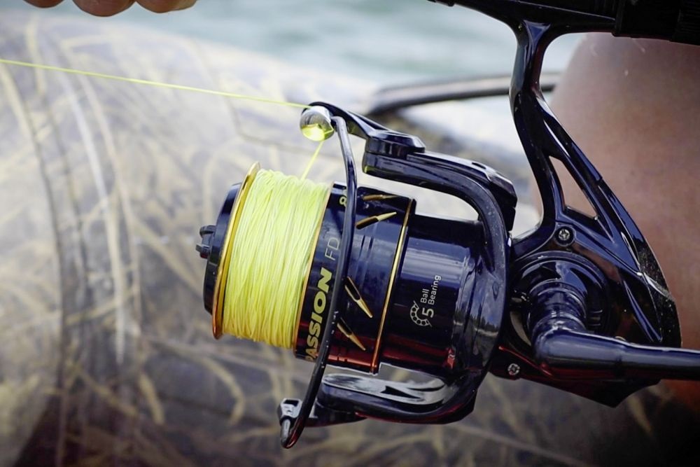 Spinning Reel Black Cat Black Passion FD 50